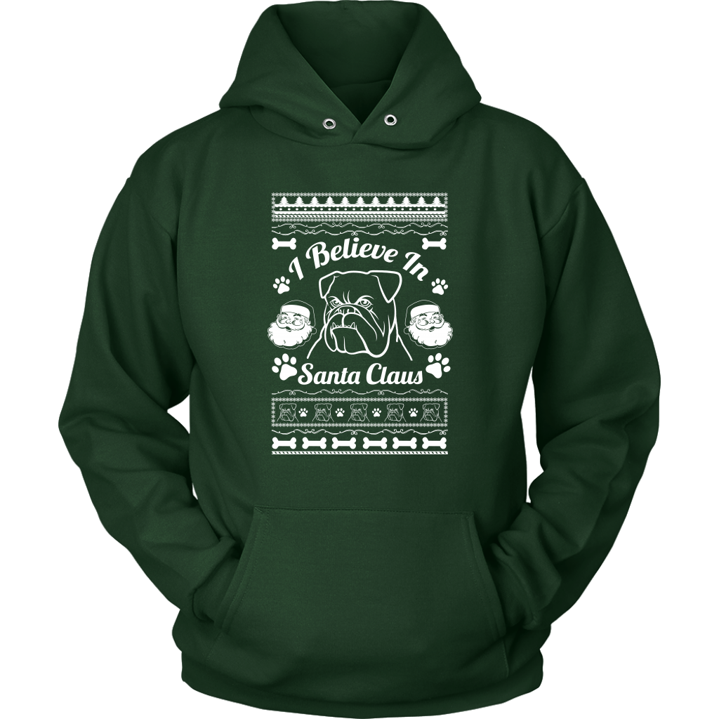 I Believe Santa Hoodie