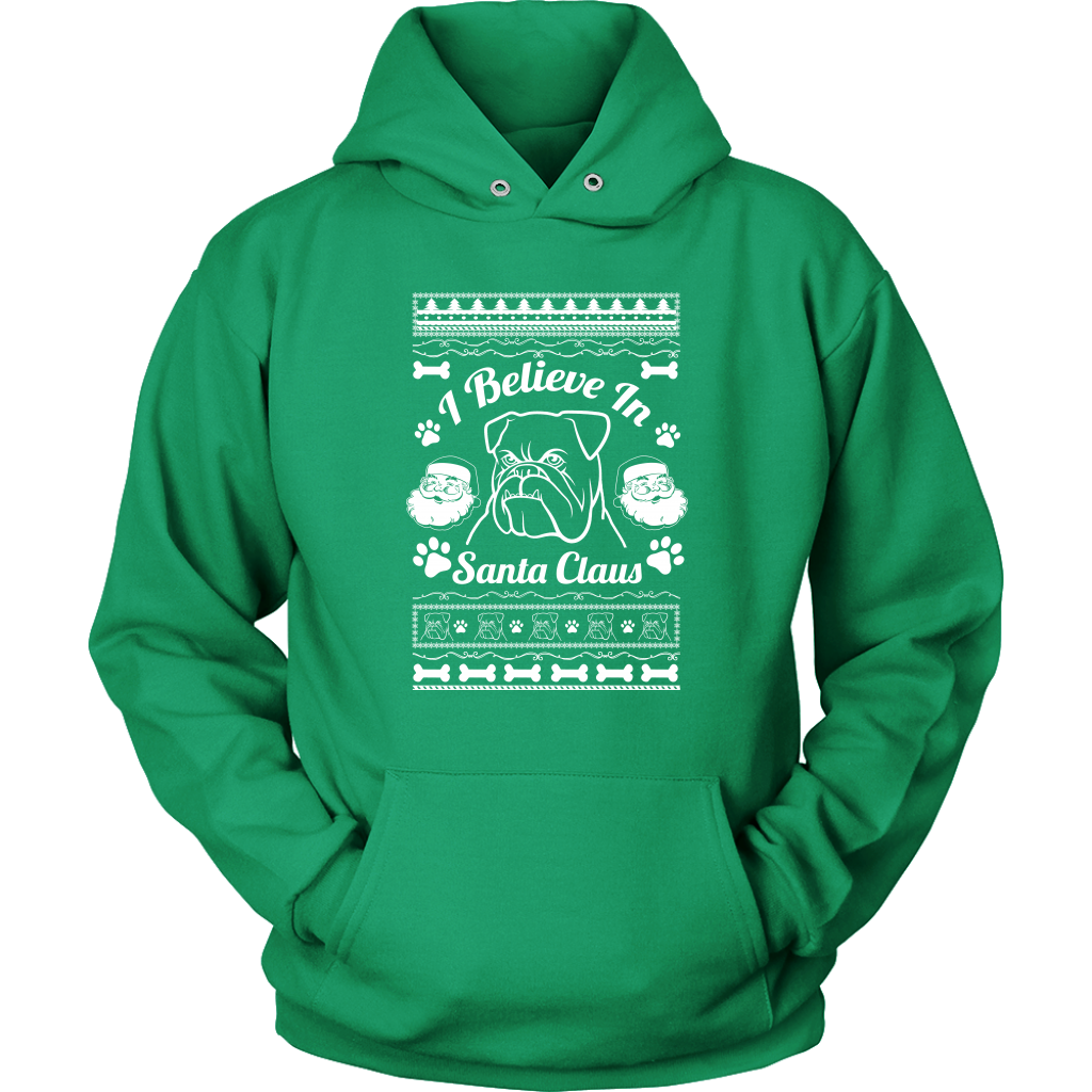 I Believe Santa Hoodie