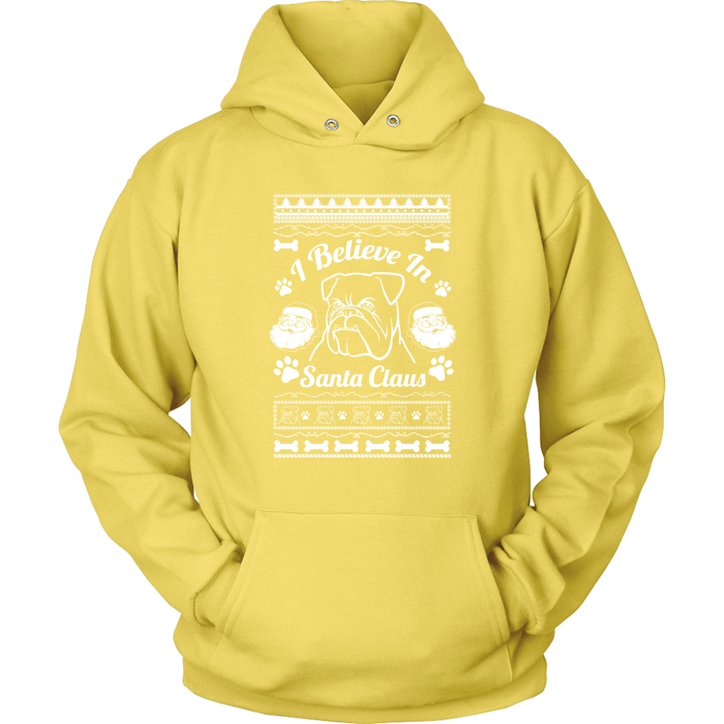 I Believe Santa Hoodie