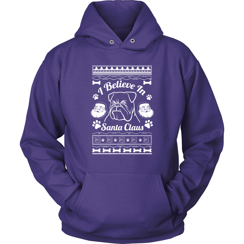 I Believe Santa Hoodie