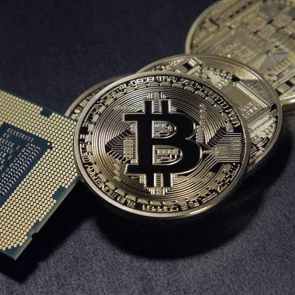 Gold Plated Collectible Bitcoin Coin-Collectible-Docs General Store