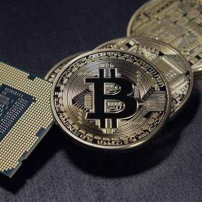 Gold Plated Collectible Bitcoin Coin-Collectible-Docs General Store