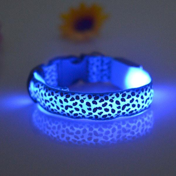 Pet Collar LED Light-Pets-Docs General Store