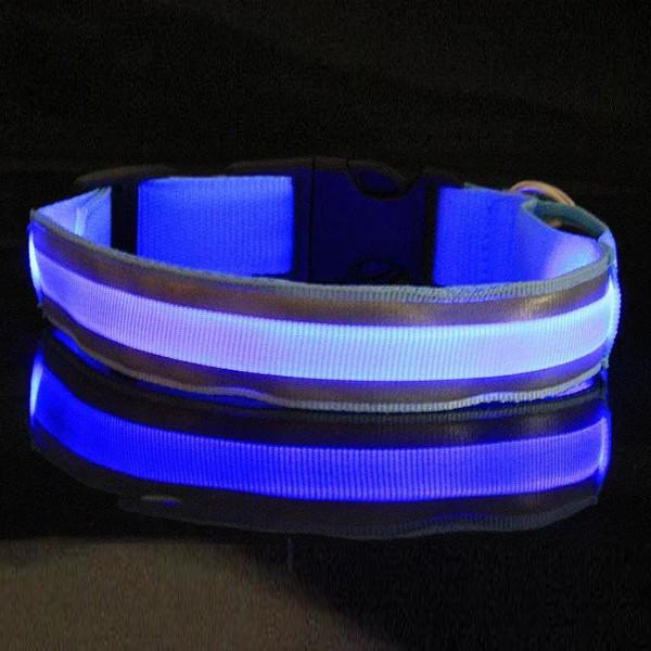 Pet LED Collar-Pets-Docs General Store