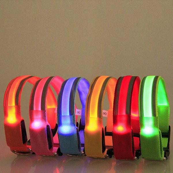 Pet LED Collar-Pets-Docs General Store