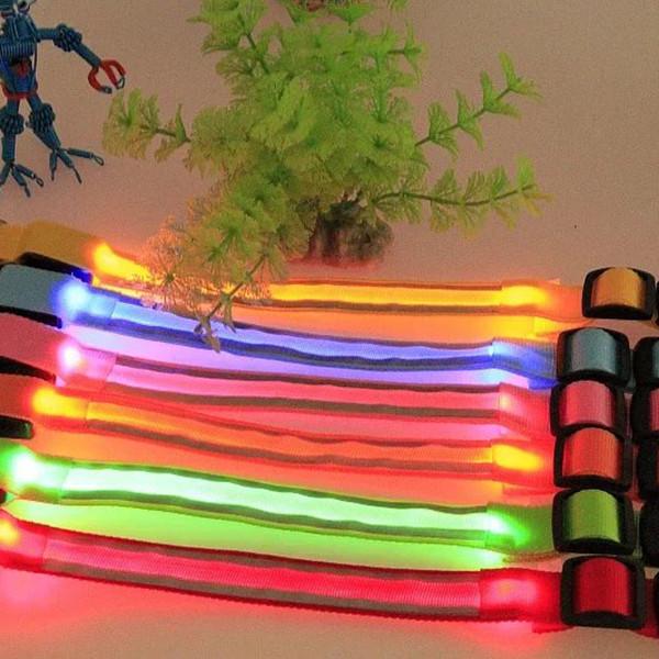 Pet LED Collar-Pets-Docs General Store