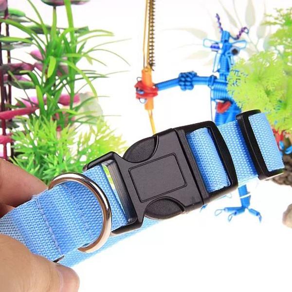 Pet LED Collar-Pets-Docs General Store