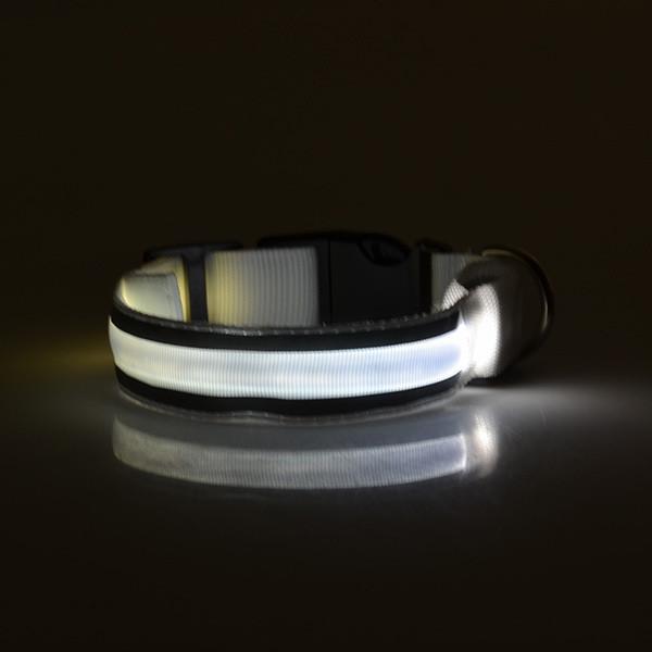 Pet LED Collar-Pets-Docs General Store