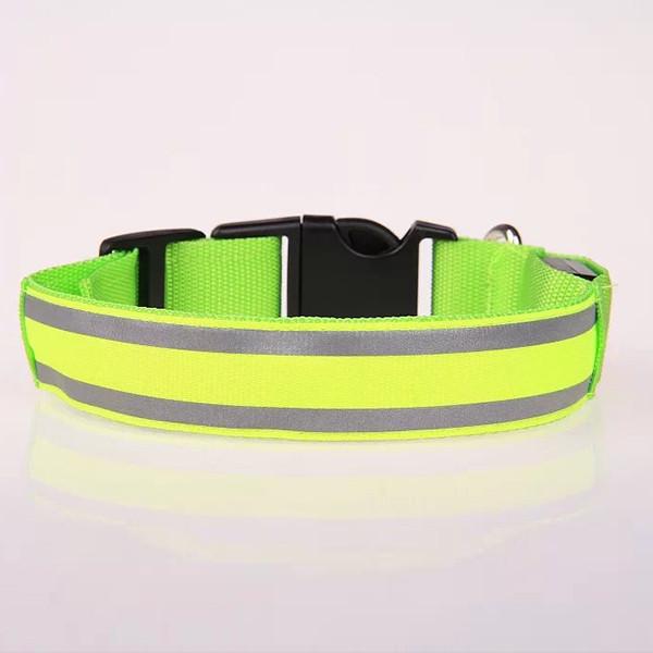 Pet LED Collar-Pets-Docs General Store