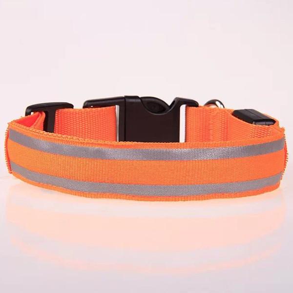 Pet LED Collar-Pets-Docs General Store