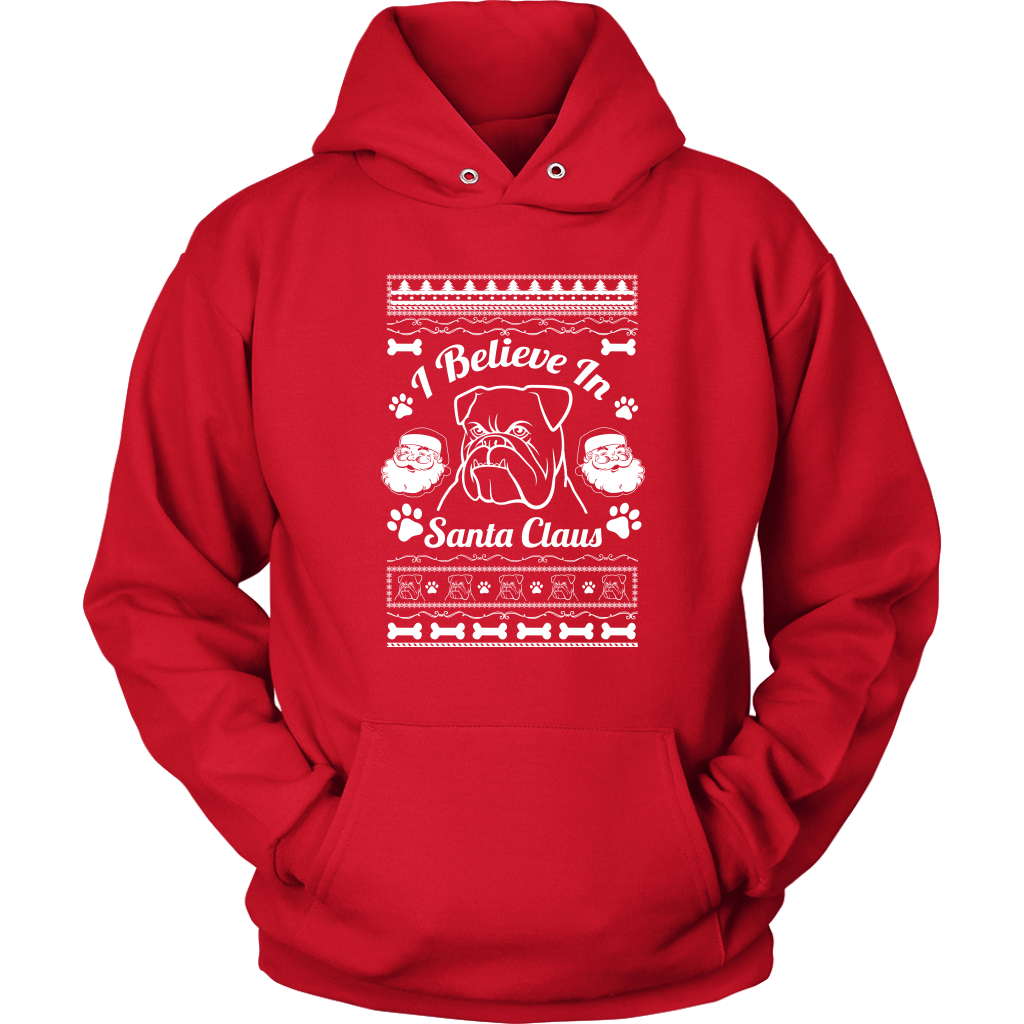 I Believe Santa Hoodie