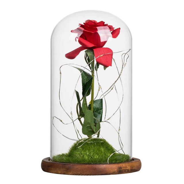 Silk Rose Flower and LED Lights